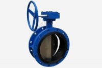 High size double flanged butterfly valves